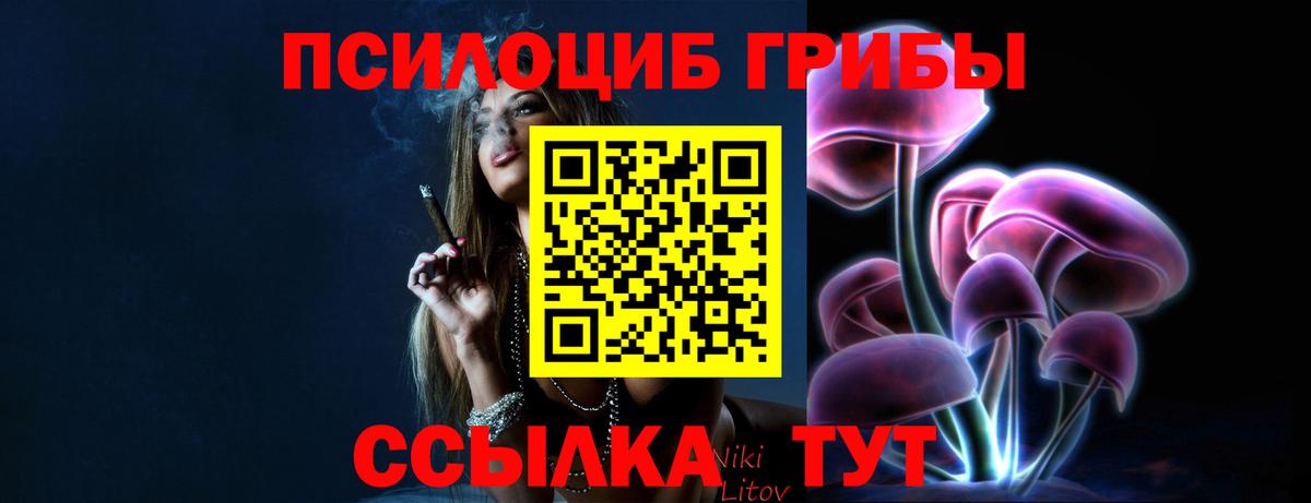Георгиевск  Псилоцибиновые грибы Cubensis  Псилоцибиновые грибы Psilocybe  Вход с VPN 